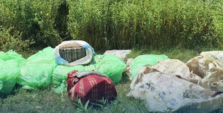 ३०२ किलो गाँजासहित एक जना पक्राउ